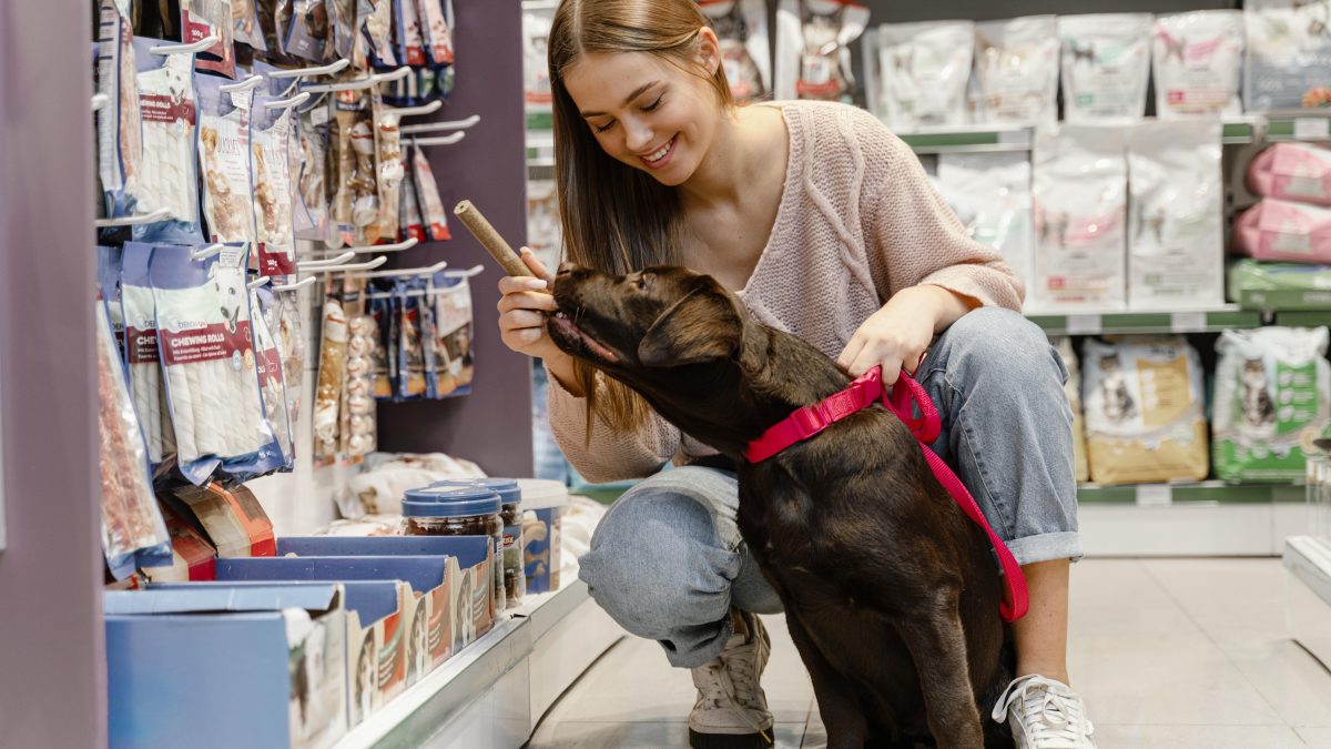 How to Use a Dog Treat Pouch Effectively for Training and Walks