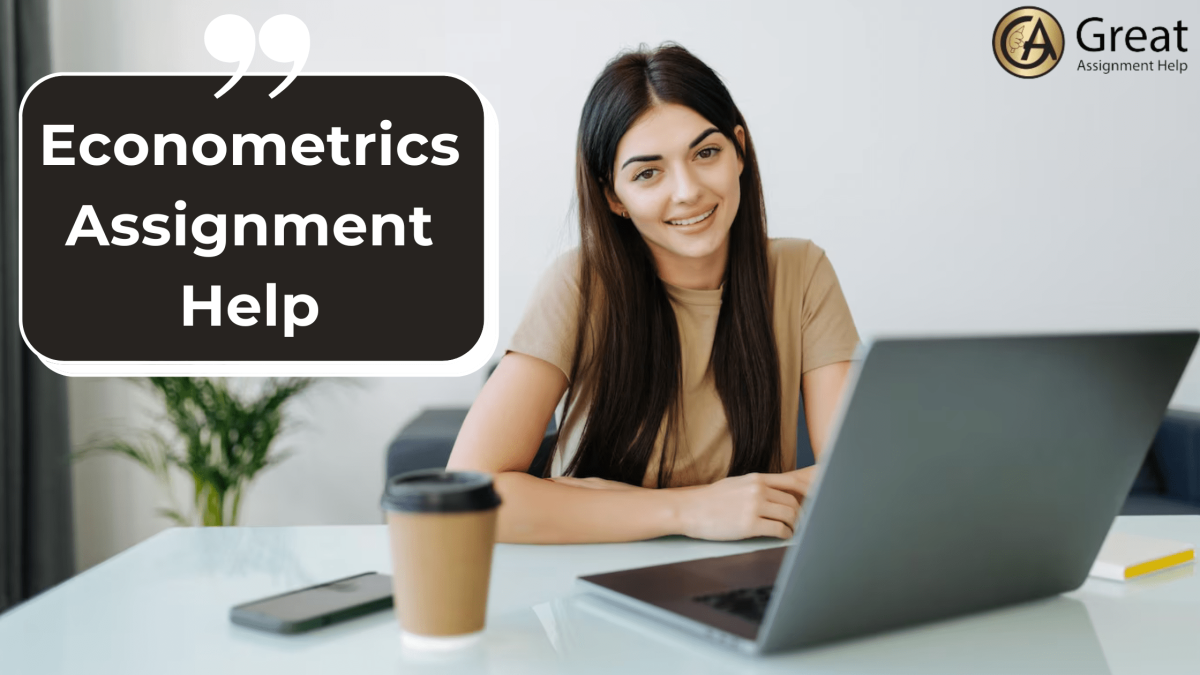 Consider before selecting the best Econometrics Assignment Help?