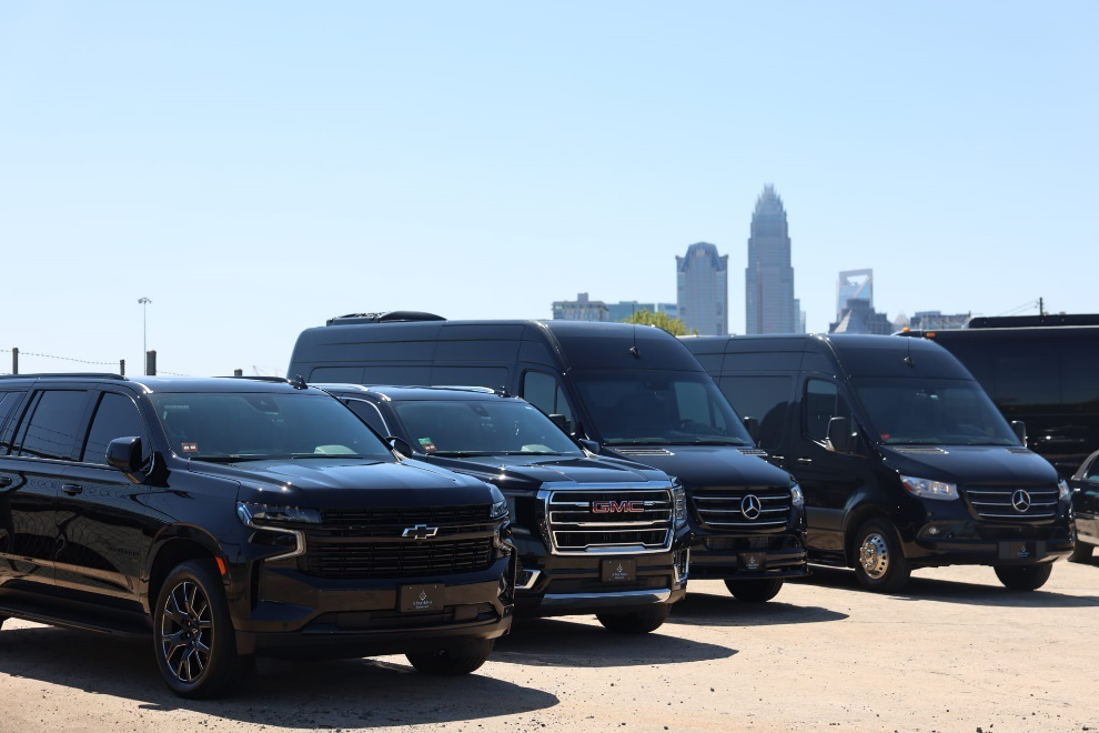 Luxury limos parked side by side 